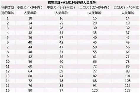 属狗的今年几岁|2024年属狗的多大年龄 2024年属狗岁数表